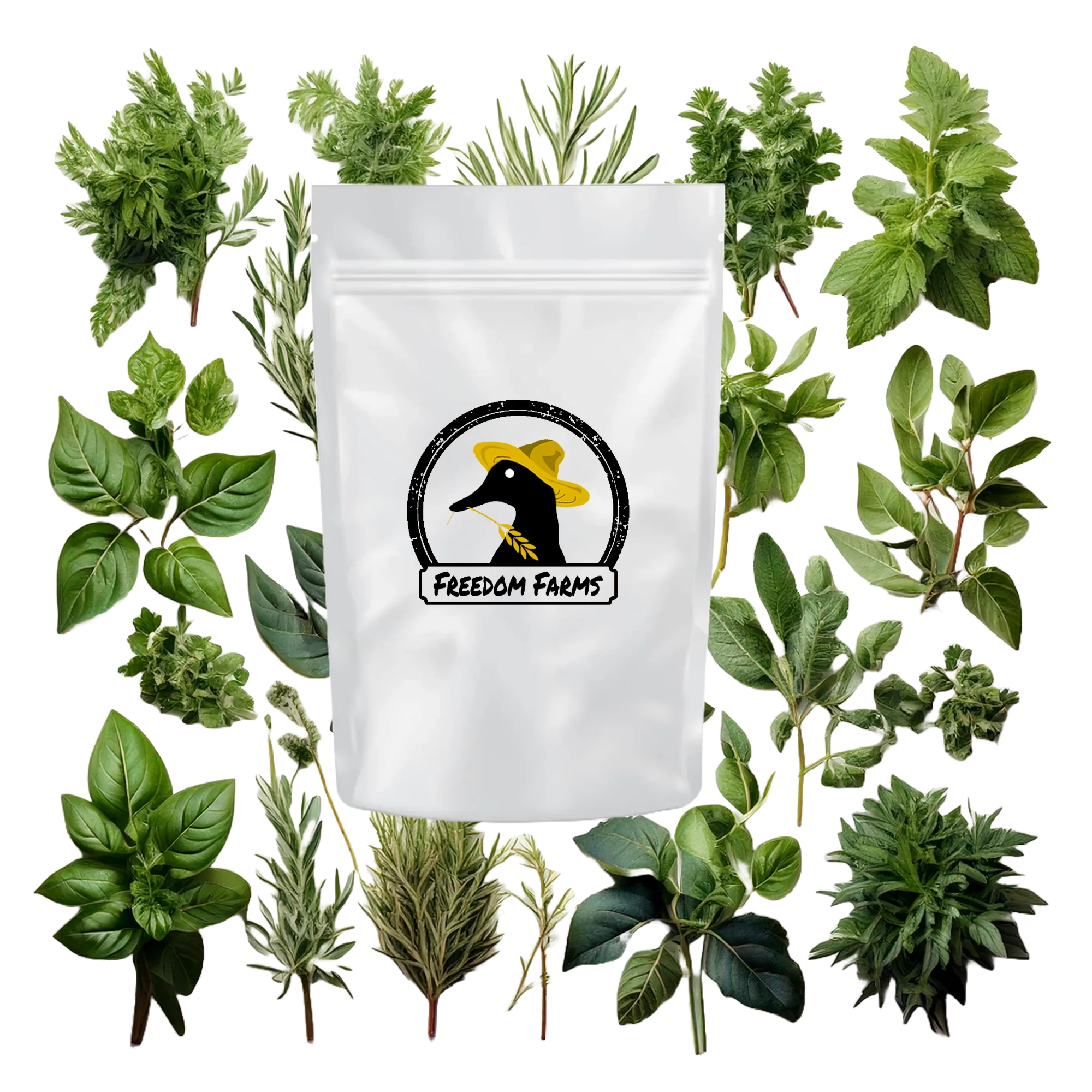 Herb Seeds